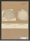 Aulacodiscus luhusenii var. punctatus Witt. (de-Toni-Nr.: Genus 182, Species 4550) Zeichnungen Sammlung Grunow Nr. 8156 (NHMW-BOT-W0377520)